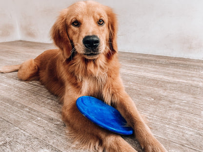 Tuff Pupper - Super Chewy - Frisbee - Super Chewy - Frisbee