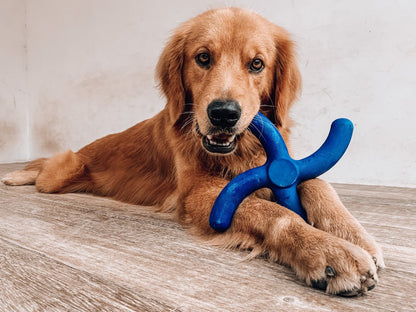 Tuff Pupper - Super Chewy - Boomerang - Super Chewy - Boomerang