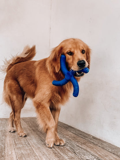 Tuff Pupper - Super Chewy - Boomerang - Super Chewy - Boomerang