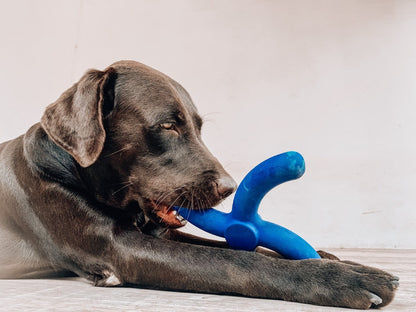 Tuff Pupper - Super Chewy - Boomerang - Super Chewy - Boomerang