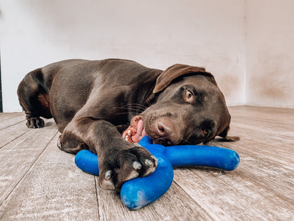 Tuff Pupper - Super Chewy - Boomerang - Super Chewy - Boomerang