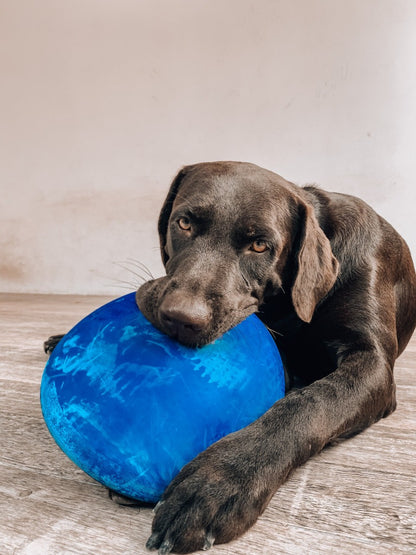 Tuff Pupper - Super Chewy - Frisbee - Super Chewy - Frisbee