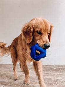 Super Chewy - Cage Ball