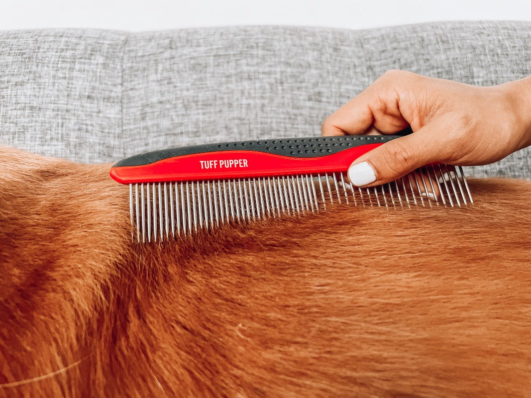 Detangling - Comb