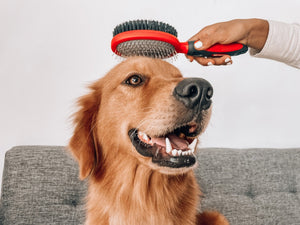 Grooming - Double Sided Pins & Bristle Brush