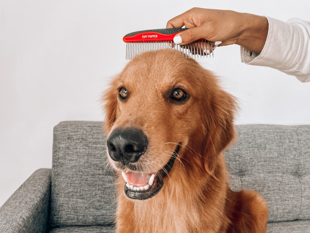 Detangling - Comb