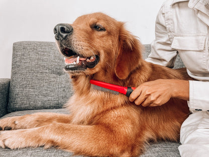 Tuff Pupper - Long-Short - Comb - Long-Short - Comb