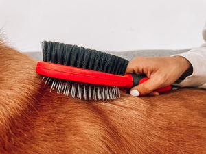 Grooming - Double Sided Pins & Bristle Brush