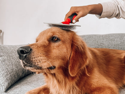 Tuff Pupper - Slicker - Brush - Slicker - Brush