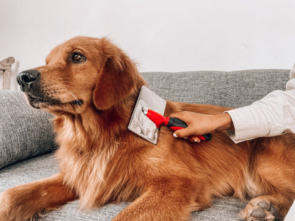 Tuff Pupper - Slicker - Brush - Slicker - Brush