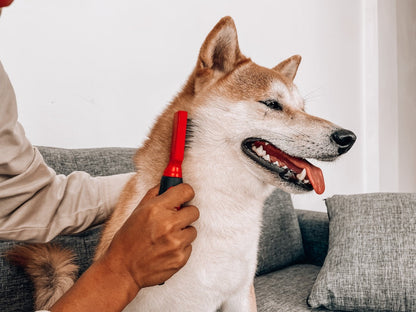 Tuff Pupper - Matt Remover - Comb - Matt Remover - Comb