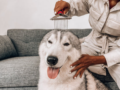 Tuff Pupper - Undercoat - Dematting Rake - Undercoat - Dematting Rake