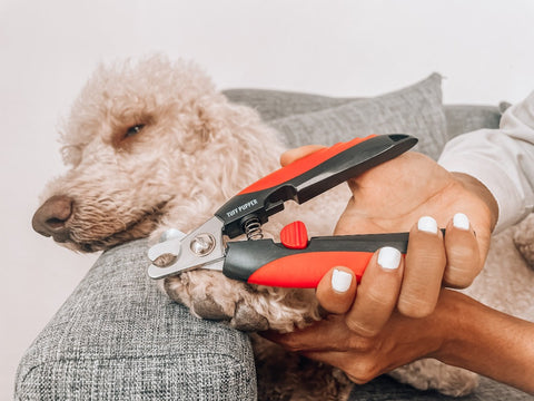 Grooming - Nail Clipper with File
