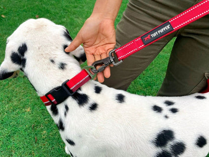 Tuff Pupper - Avail - Safety Leash - March Red