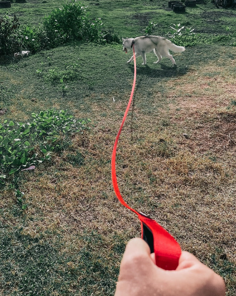 Tuff Pupper Long Leash Padded Handle