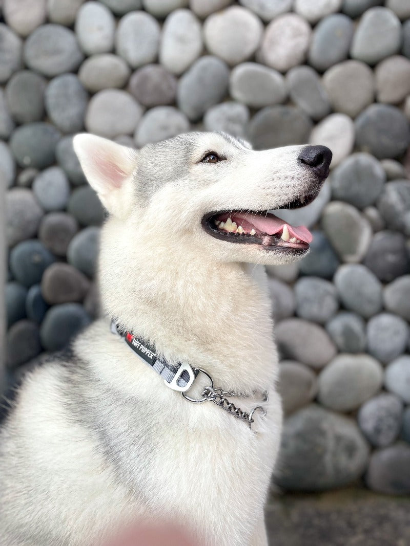 Thunder Grey