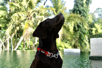 Tuff Pupper - Reaction - Martingale Collar - Fiery Red