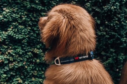 Tuff Pupper - Hero - Rugged Collar - Blazing Blue