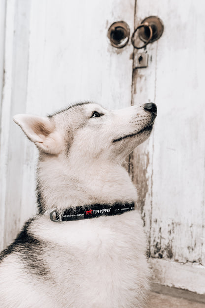 Tuff Pupper - Hero - Rugged Collar - Jet Black