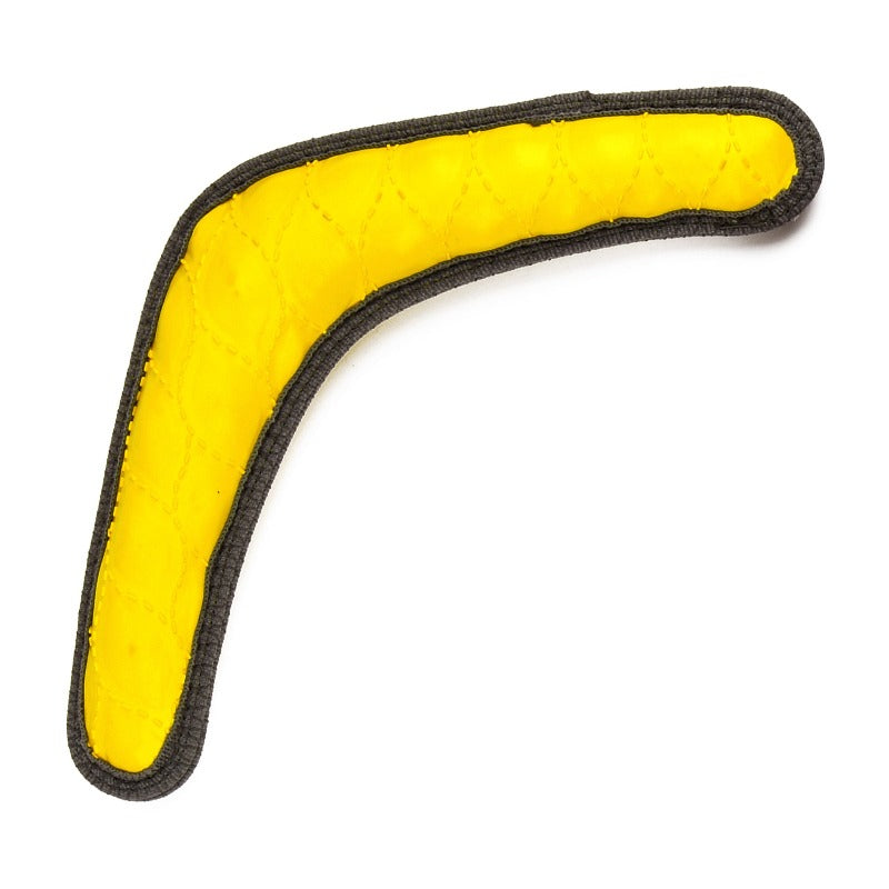 Boomerang - Floaty Toy