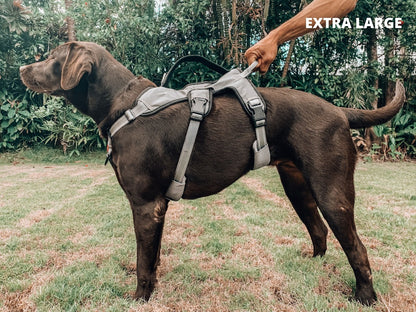 Tuff Pupper - Tracker - Rugged Harness - Steel Grey