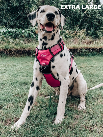 Tuff Pupper - Metro - Everyday Harness - Hot Pink