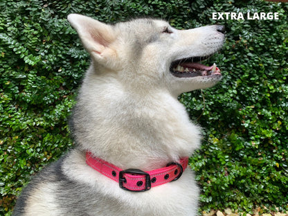 Tuff Pupper - Ultra Comfort - Padded Collar - Hot Pink