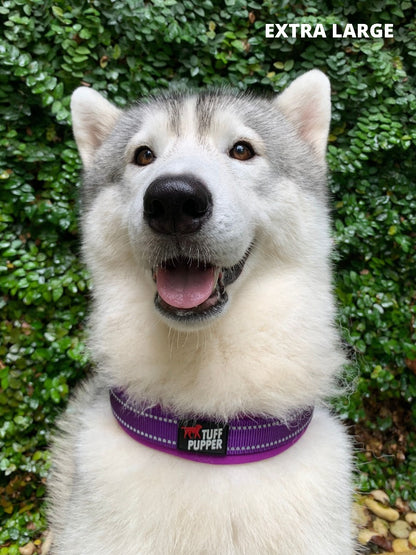 Tuff Pupper - Ultra Comfort - Padded Collar - Purple