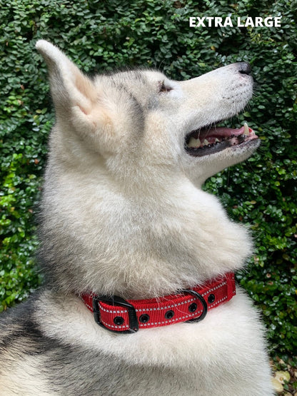 Tuff Pupper - Ultra Comfort - Padded Collar - March Red