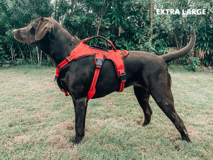 Tuff Pupper - Tracker - Rugged Harness - March Red