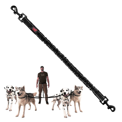 Hands-Free - Bungee Leash