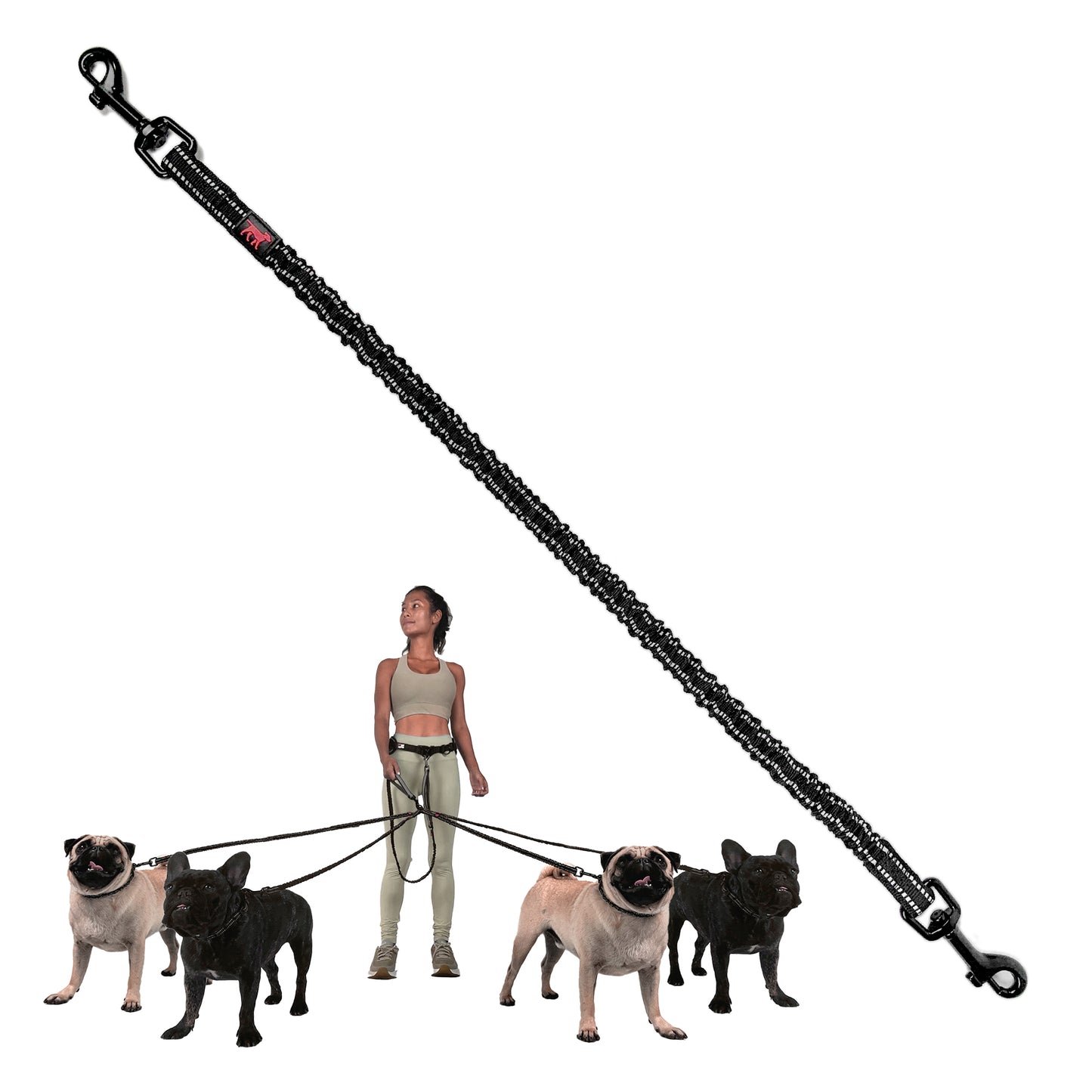 Hands-Free - Bungee Leash