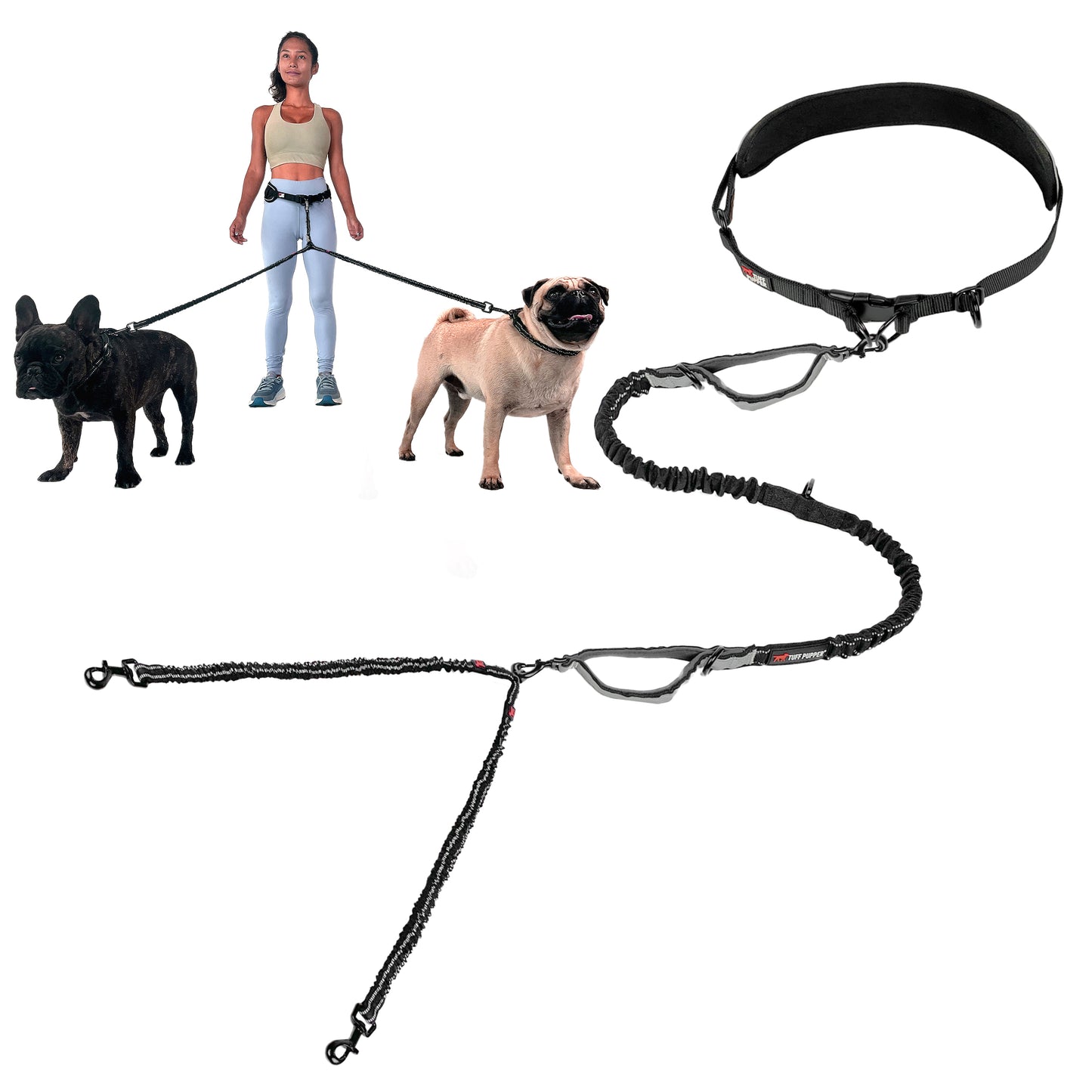 Hands-Free - Bungee Leash