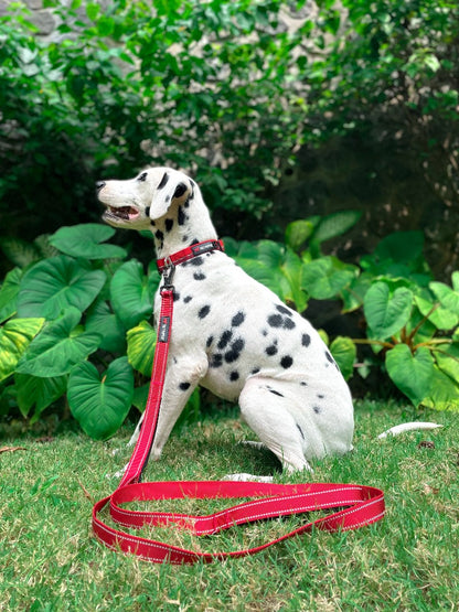 Tuff Pupper - Avail - Safety Leash - March Red