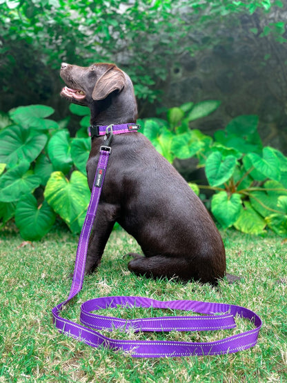 Tuff Pupper - Avail - Safety Leash - Purple