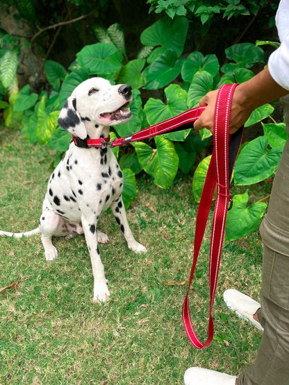 Tuff Pupper - Avail - Safety Leash - March Red