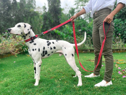 Tuff Pupper - Avail - Safety Leash - March Red