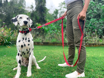 Tuff Pupper - Avail - Safety Leash - March Red