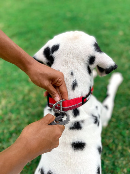 Tuff Pupper - Avail - Safety Leash - March Red