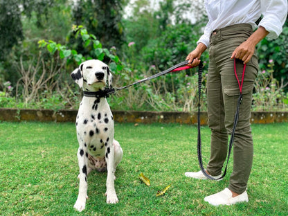 Tuff Pupper - Avail - Safety Leash - Epic Black