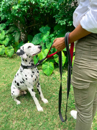 Tuff Pupper - Avail - Safety Leash - Epic Black