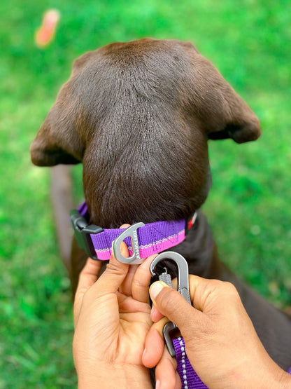 Tuff Pupper - Avail - Safety Leash - Purple