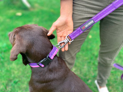 Tuff Pupper - Avail - Safety Leash - Purple