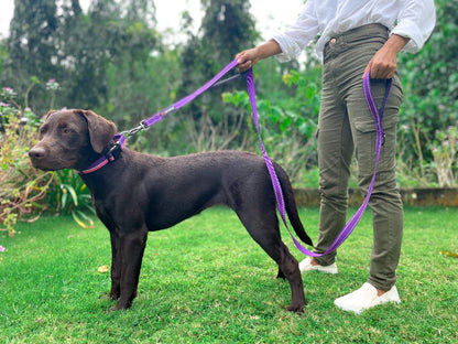 Tuff Pupper - Avail - Safety Leash - Purple