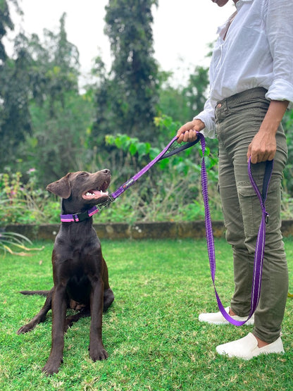 Tuff Pupper - Avail - Safety Leash - Purple