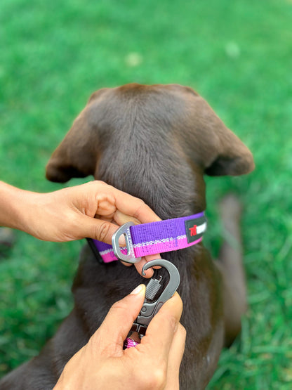 Tuff Pupper - Avail - Safety Leash - Avail - Safety Leash