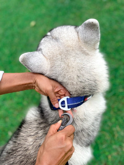 Tuff Pupper - Avail - Safety Leash - Midnight Blue