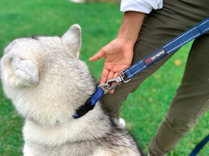 Tuff Pupper - Avail - Safety Leash - Midnight Blue