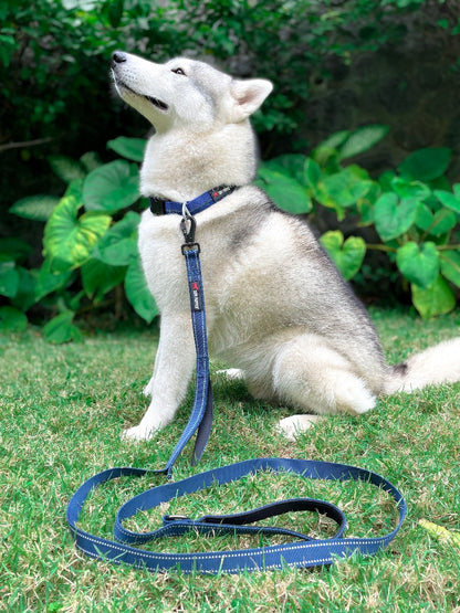 Tuff Pupper - Avail - Safety Leash - Midnight Blue