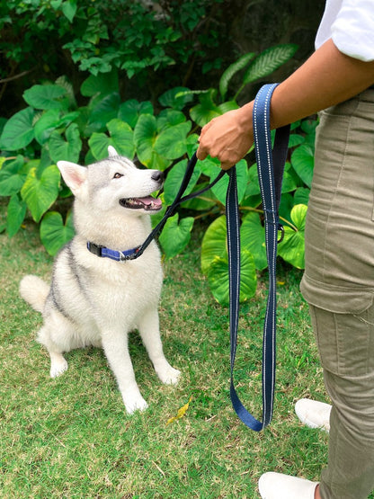 Tuff Pupper - Avail - Safety Leash - Midnight Blue